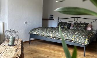 A cozy bedroom with a large bed and a wooden dresser. Plants create a fresh and inviting atmosphere.