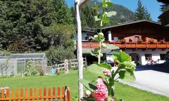 A picturesque view with pink hollyhocks in the foreground and traditional wooden houses in the background. The clear sky and surrounding nature give the scene a tranquil atmosphere.