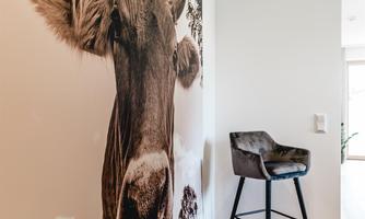 A stylish interior with a large wall painting of a cow. Next to the picture stands a modern bar stool on a wooden floor.