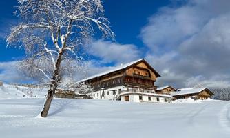 A winter landscape with a traditional wooden house and snow-covered meadows. A single tree stands in the foreground against a clear blue sky.