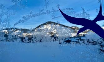 Jochum_Appartements_Wildschoenau_Winterblick_Balco