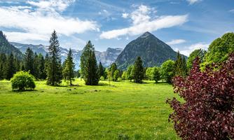 A picturesque landscape with green meadows and high mountains in the background. The sky is blue and partially cloudy, surrounded by trees.