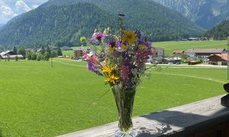 A beautiful view of green meadows and mountains. In the foreground, there is a vase with colorful flowers on the balcony.