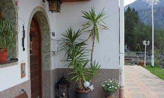 An inviting entrance to a house with a beautiful plant arrangement. In the background, a mountain landscape is visible.