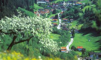 Auffach Frühling 2 FG A. Niederstrasser. Rechte TV