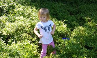 IMG_20170717_151147