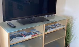 A television is on a wooden cabinet with glass doors. The cabinet contains some magazines and a green plant.