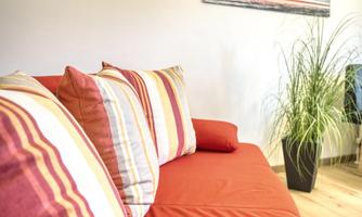 A red sofa with striped cushions and a large plant pot. A picture of an autumn tree hangs on the wall.