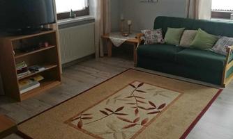 A cozy living room with a green sofa and a carpet with a floral pattern. The windows let in plenty of daylight, and there is a small TV corner.