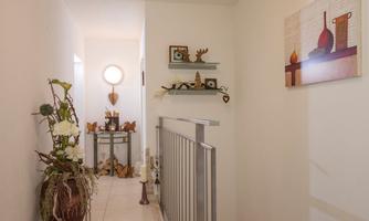 A bright hallway with modern decorative elements. Pictures hang on the wall and there are plants as well as a rug made of animal hide.