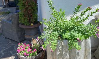 A beautiful outdoor area with decorative potted plants. In the background, cozy seating can be seen.