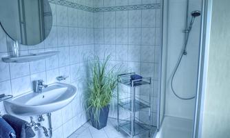 A modern bathroom with a shower and a sink. Towels are lying on the floor and there is a green plant decoration.
