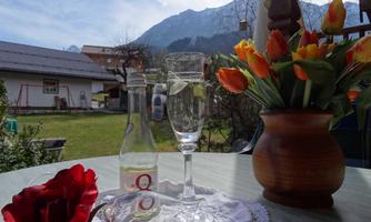 A beautiful table on a terrace with a glass bottle and a glass decorated with a slice of lime. In the background, flowers and mountains can be seen.