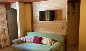 A cozy room with a green sofa and a television on the wall. The walls are partially made of wood, and the space feels warm and inviting.