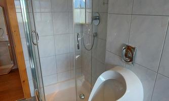 A modern bathroom with a shower cabin and a urinal. The floor is tiled with gray tiles and has a blue carpet.