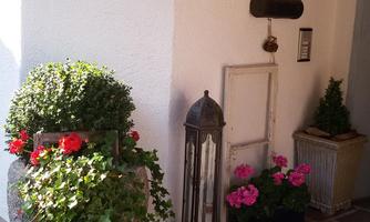 An inviting entrance area with a white wall, a front door, and a lantern. Lush plants and colorful flowers in pots enhance the space.