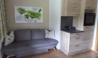 A cozy room with a gray sofa and a modern kitchenette. On the wall, there is a picture of green plants.