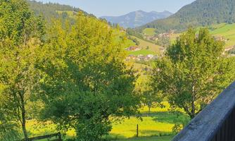 View from the balcony: A picturesque view of green hills and mountains. In the foreground, several trees frame the landscape.