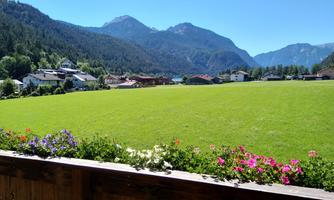 A green meadow with colorful flowers in the foreground and mountains in the background. The sky is clear and blue, creating a peaceful atmosphere.