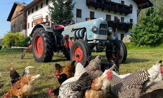 A tractor stands on a meadow in front of a traditional farmhouse. Chickens peck in the grass, creating a rural atmosphere.