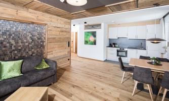 A modern living room with wooden walls and an open kitchen area. The furnishings are cozy and designed clearly, with a sofa and a dining table.