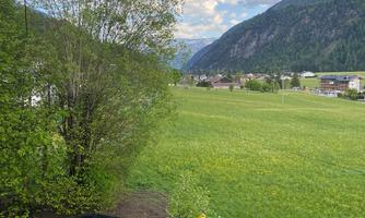 A green meadow with a tree in the foreground and mountains in the background. The sky is clear with a few clouds.