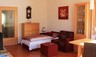 A cozy room with wooden flooring, a sleeper sofa, and modern furnishings. The walls are decorated with art and a wall clock.