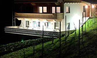 A lit house on a hill at night. In the foreground, grapevines are visible.