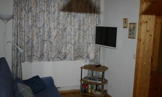 A cozy living room with a blue sofa and a floor lamp. A TV hangs on the wall, and next to a window, there are shelves with books.