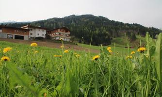 A green meadow with yellow dandelion flowers and a hilly landscape in the background. On the left side, several traditional buildings can be seen.