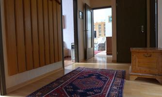 A bright hallway with a beautiful carpet on the wooden floor. Several doors lead to other rooms.