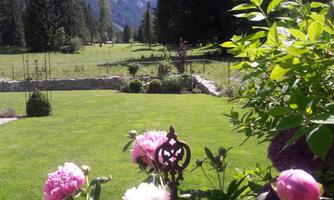 A beautiful garden with peonies and lush greenery. In the background, there are trees and mountains under a blue sky.