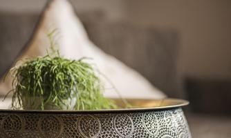 A decorative plant in a silver tray. In the background, a cozy pillow can be seen.