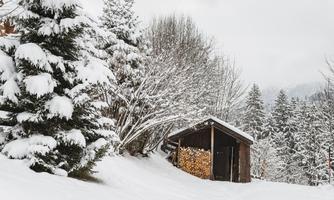A snow-covered landscape with a small wooden cabin. Surrounded by snowy trees and a gray sky.