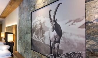 A black-and-white photo of a ibex in front of a mountain landscape. The wall design consists of stone and wood.