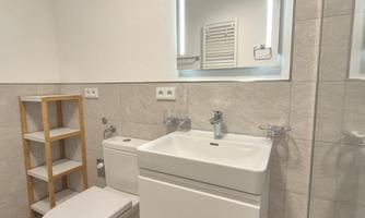 A modern bathroom with a white sink and a toilet. The room is bright and simply designed, with a small wooden shelving unit.