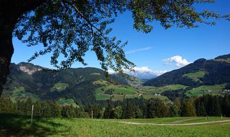 Ausblick vom Hörbighof in Thierbach auf Oberau Som