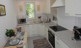 A bright kitchen with modern appliances and a dining area. There is a table with dishes and a colorful carpet on the floor.
