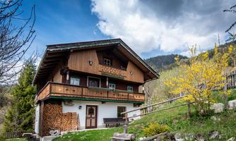 A traditional wooden house in a picturesque setting.  
Surrounded by green meadows and blooming plants under a dramatic sky.