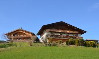 Two traditional alpine houses on a green meadow. The sky is clear and blue.