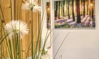 A modern interior with bright tiles and wooden decor. In the foreground, there is a plant and a picture of a sunny forest hangs on the wall.