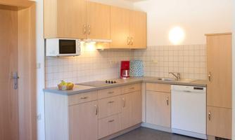 A modern kitchen with bright wood cabinets and a large window. It is equipped with a dishwasher, a microwave, and a cooktop.