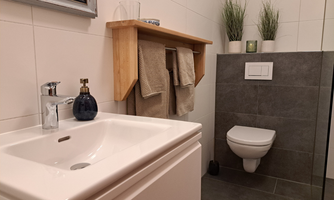 A modern bathroom with an elegant washbasin and a toilet. Towels hang on the wall, and green plants create a fresh atmosphere.