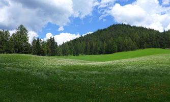 A green meadow with gentle hills and trees in the background. The sky is partly cloudy, creating a peaceful atmosphere.