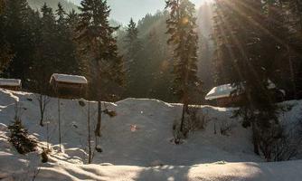 A snowy landscape with tall pine trees and sunlight shining through the trees. Small huts are visible in the background.