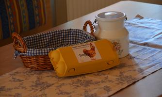 A basket with checked fabric, a milky white container, and a yellow egg box are on a table with a floral tablecloth. The scene feels cozy and inviting.