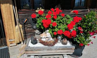 IMG_20200826_111733