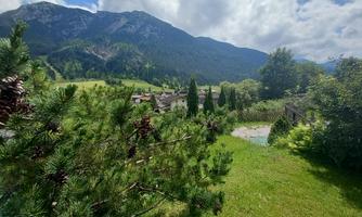 A green meadow with trees and mountains in the background. The sky is partially cloudy.