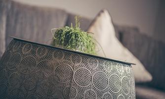 A decorative basket with a small plant cutout is sitting on a sofa. In the background, a cushion is visible.