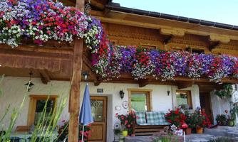 A traditional house with a beautiful wooden balcony. The balcony is lavishly adorned with colorful flowers.